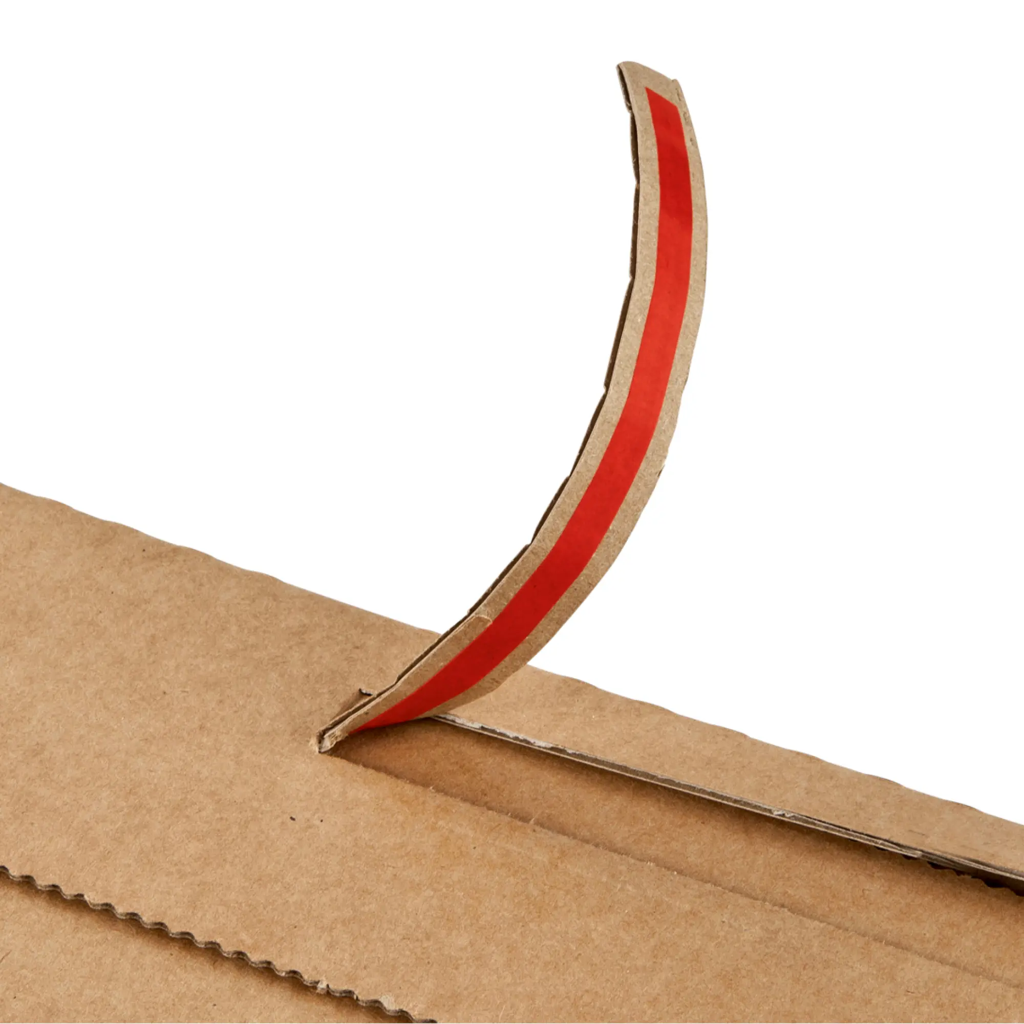 Buchverpackung aus Wellpappe 322x292x35-80 mm