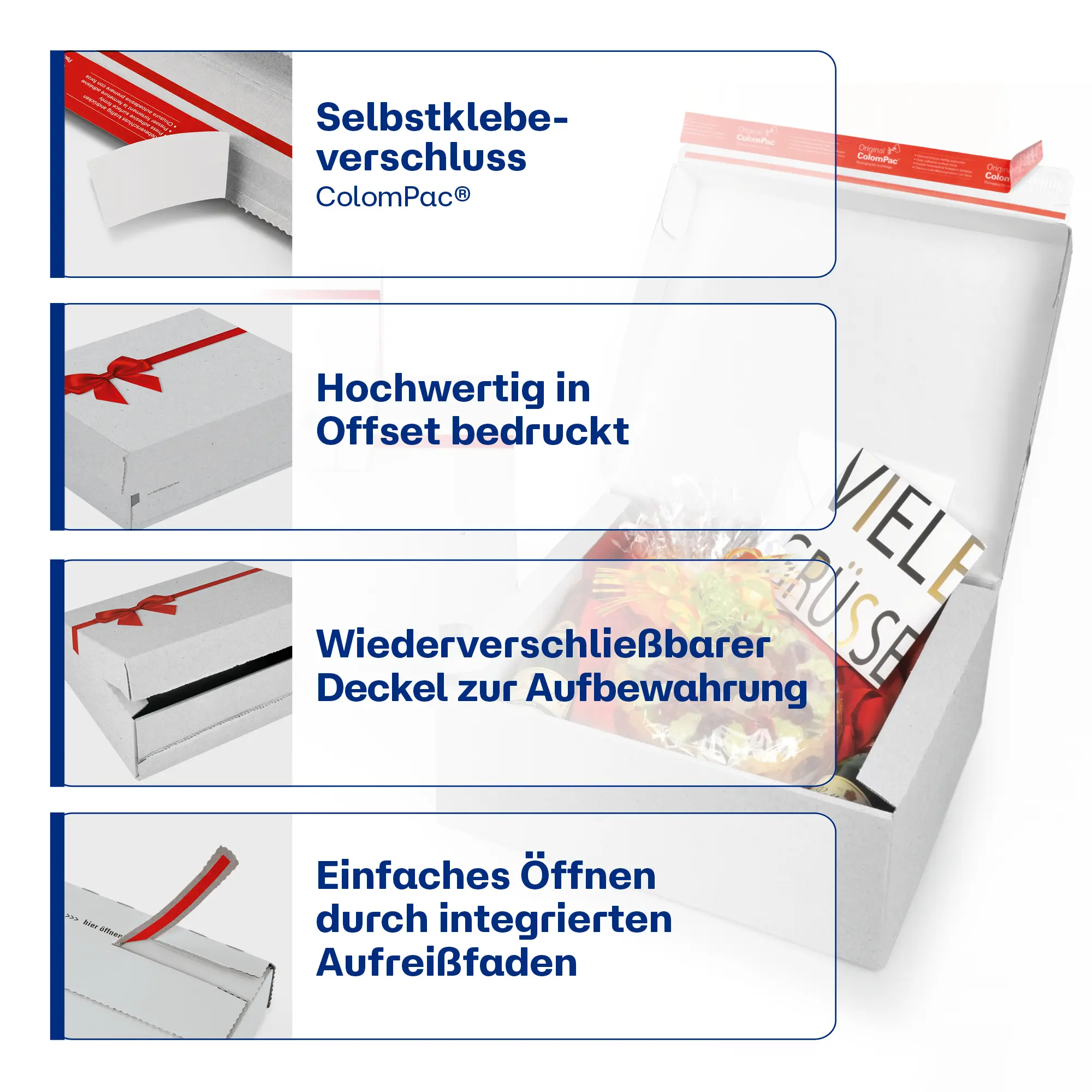 Geschenkbox 241x166x94 mm