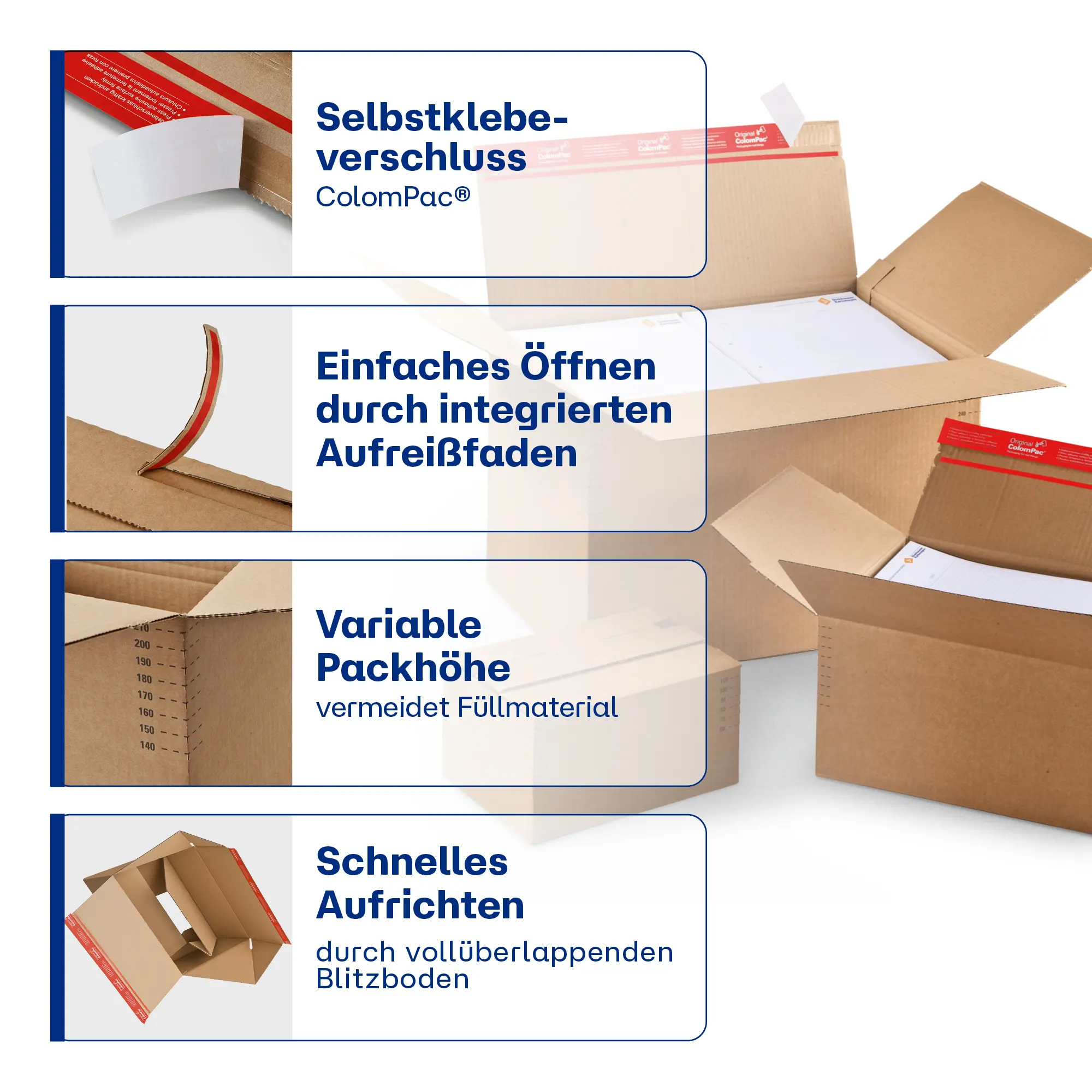Blitzbodenkarton höhenvariabel 445x315x180-300 mm